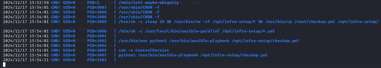 Ansible-playbook process