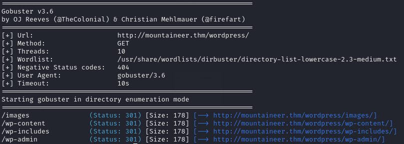 WordPress Gobuster Scan